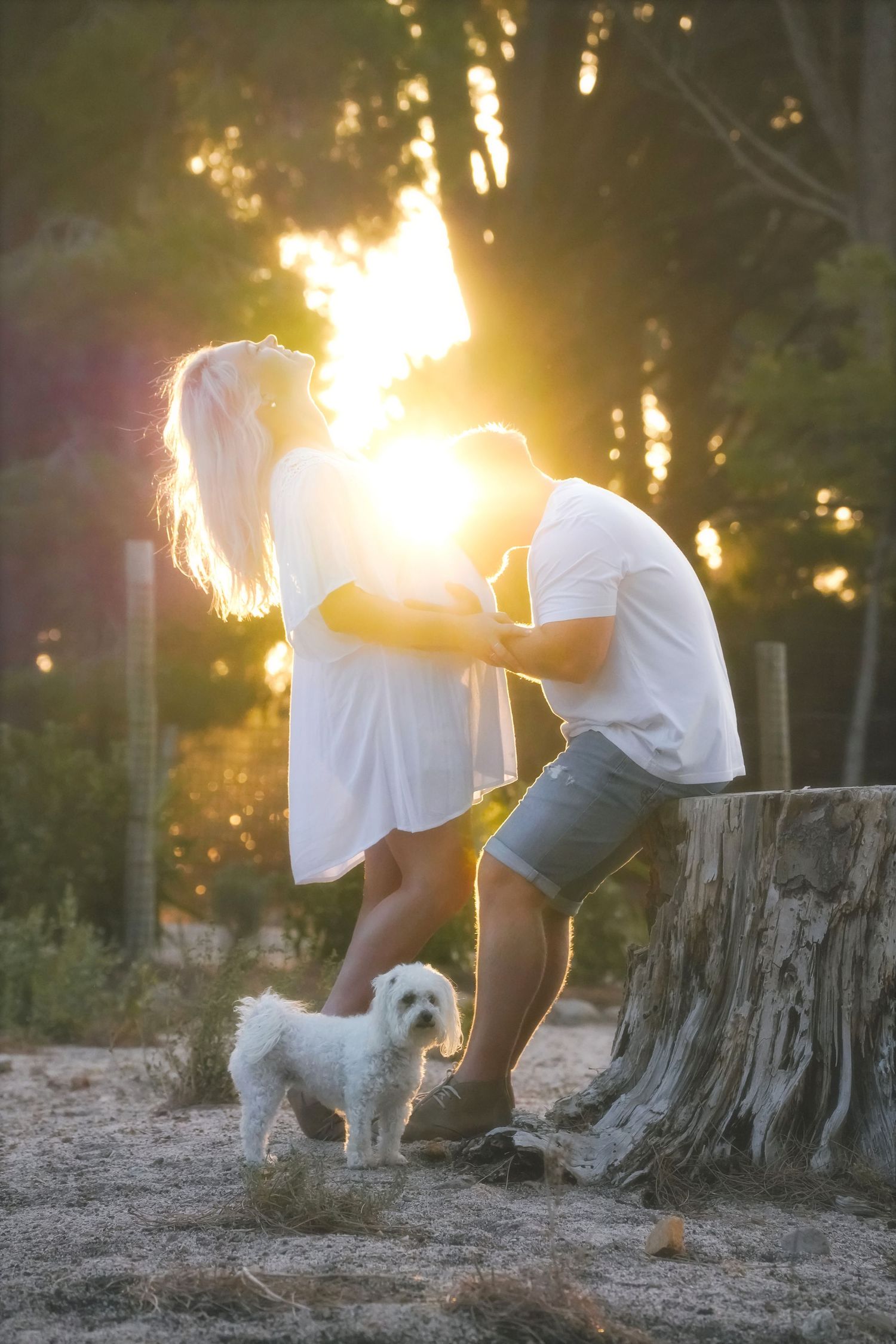 Couple kissing in glowing sunset light beside a tree stump, a small white dog at their feet