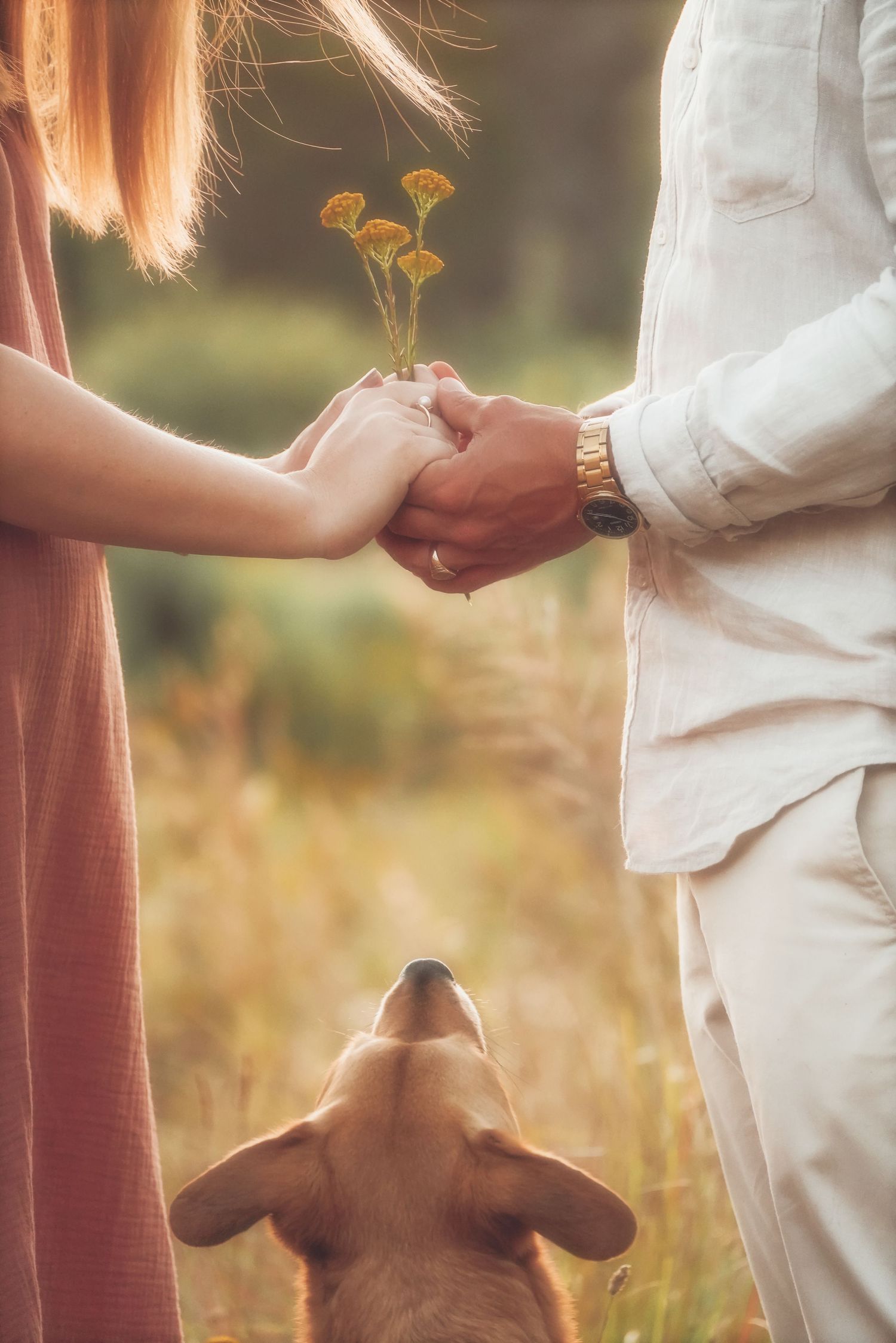 Couple holding hands around a yellow wildflower as their dog looks up at them