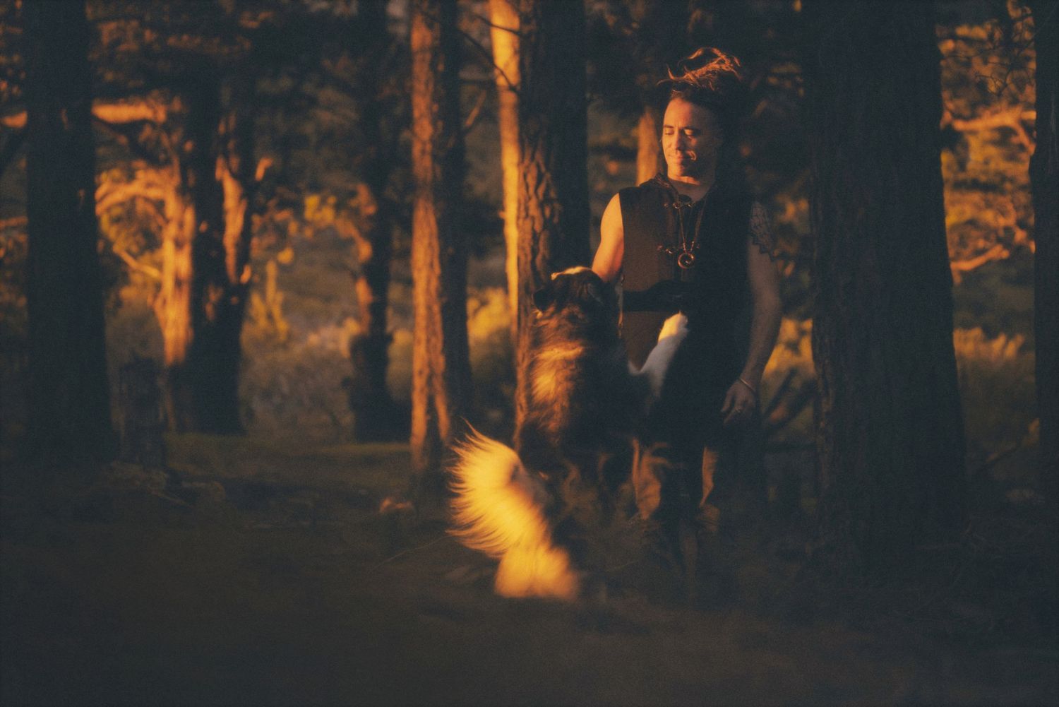 Man standing among pines with his dog in glowing golden light in a Cape Town forest