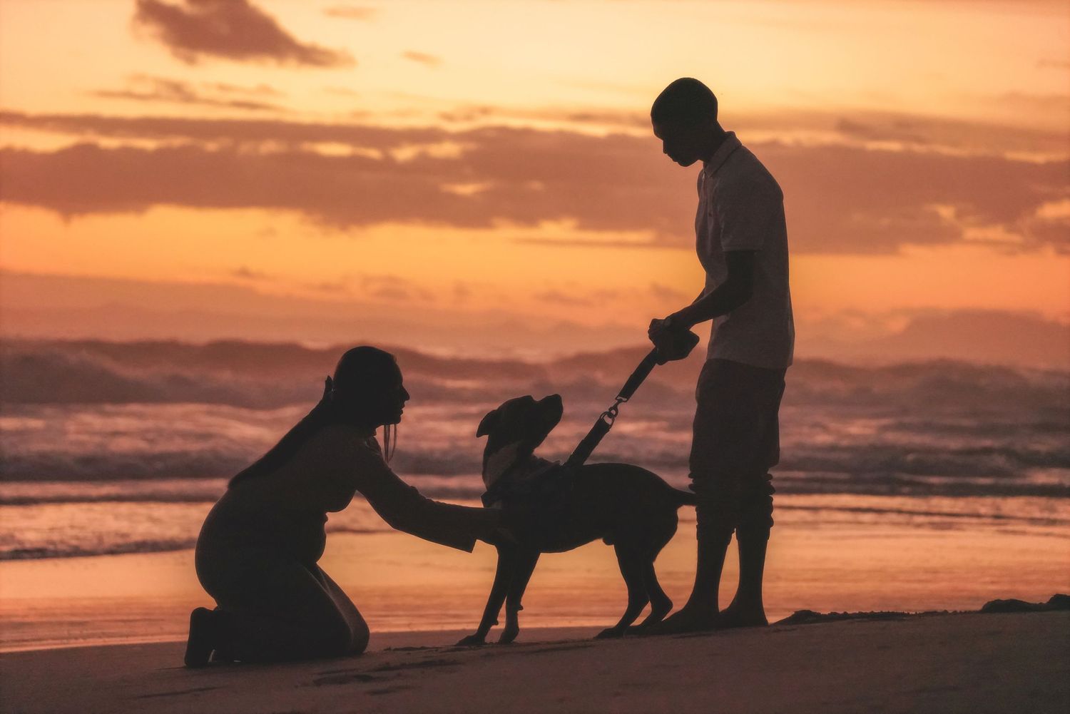 Silhouette of a woman kneeling to stroke her dog as her partner holds the lead at sunset