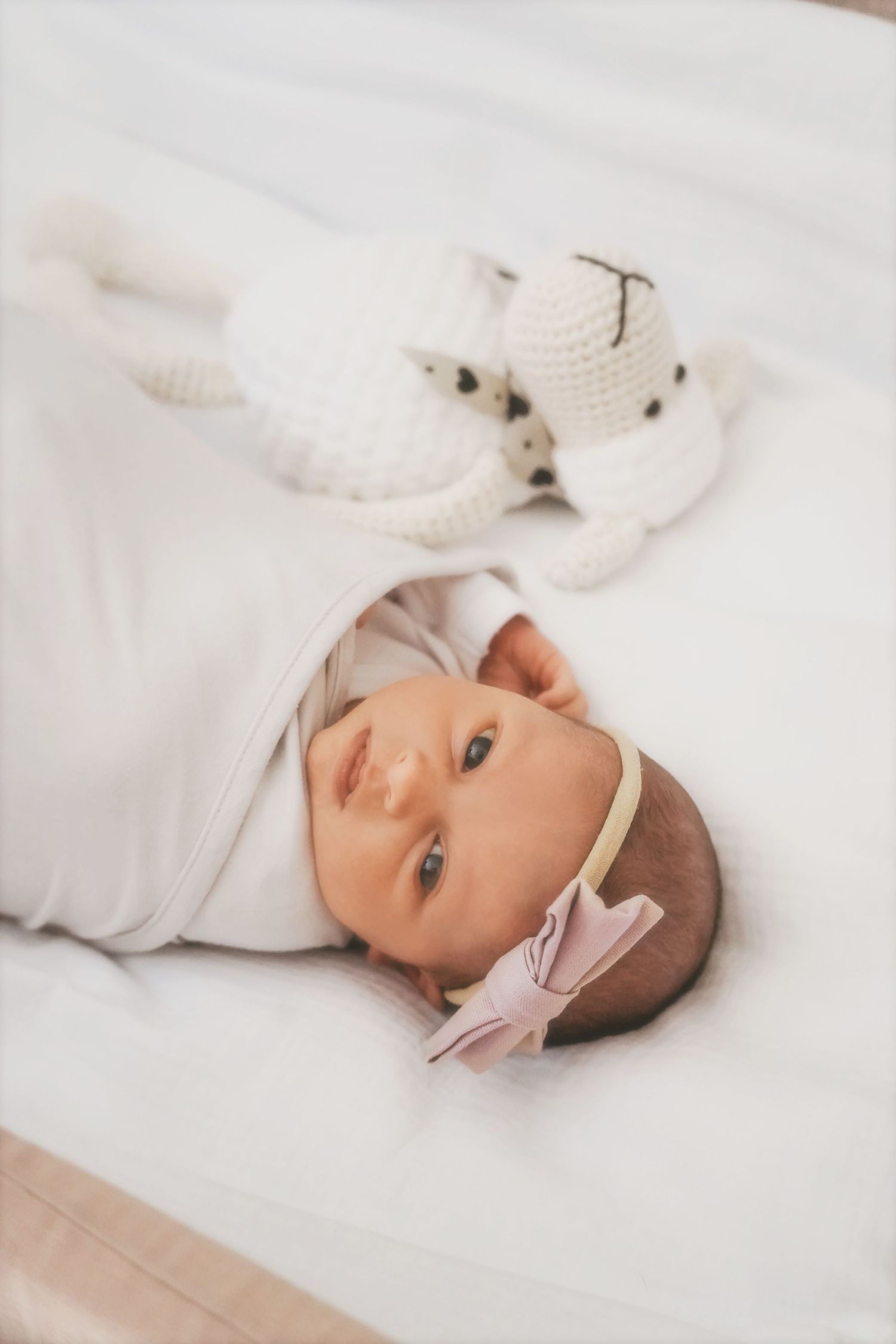 Newborn swaddled in white with a pink bow headband, lying beside a crocheted lamb toy
