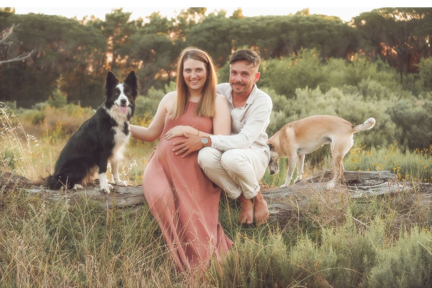 Expecting couple sitting on a log with two dogs in a Somerset West field