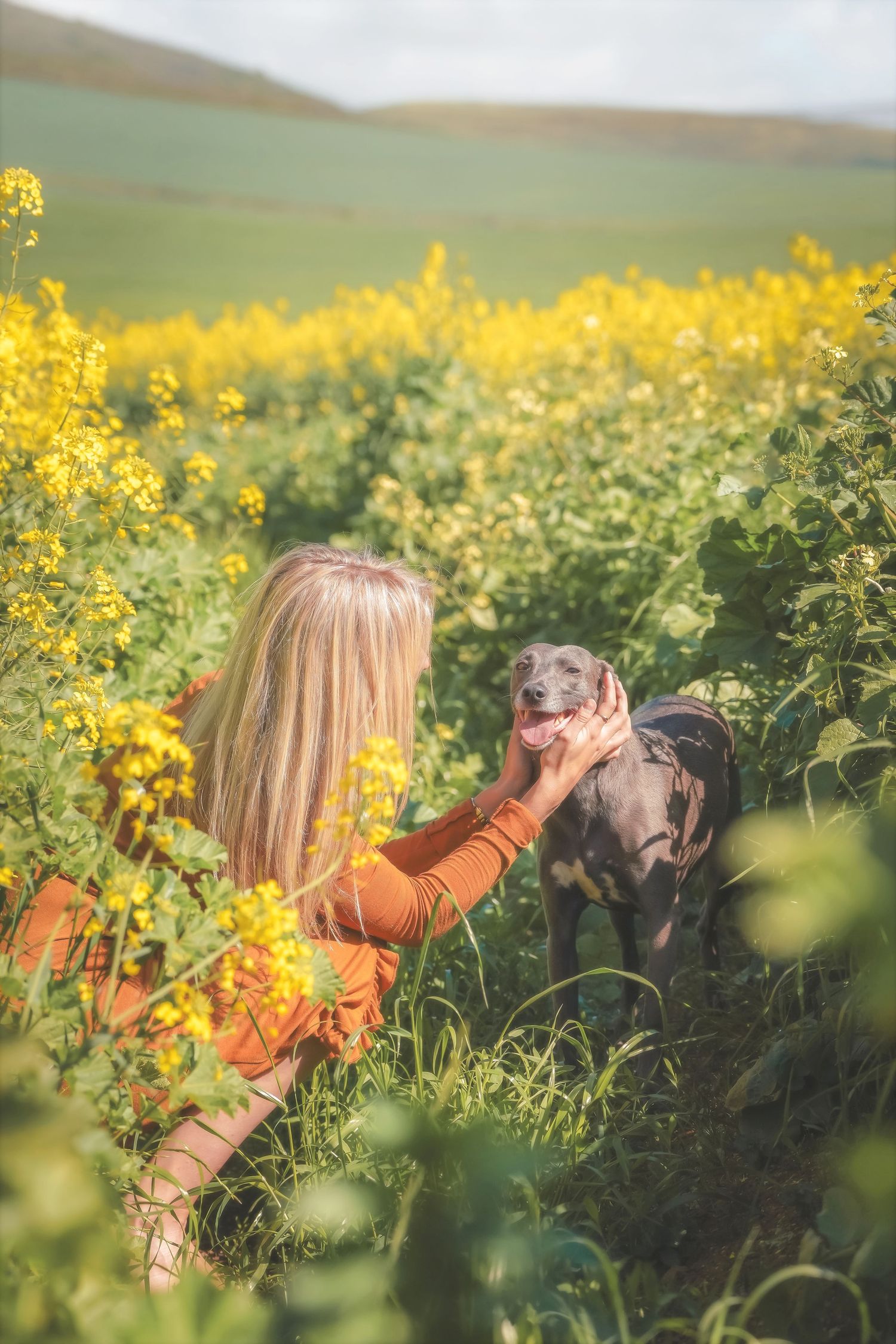 Woman crouching to pet a grey dog among canola flowers