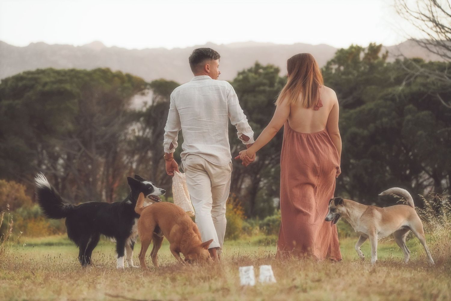 Couple walking hand in hand across a field with three dogs
