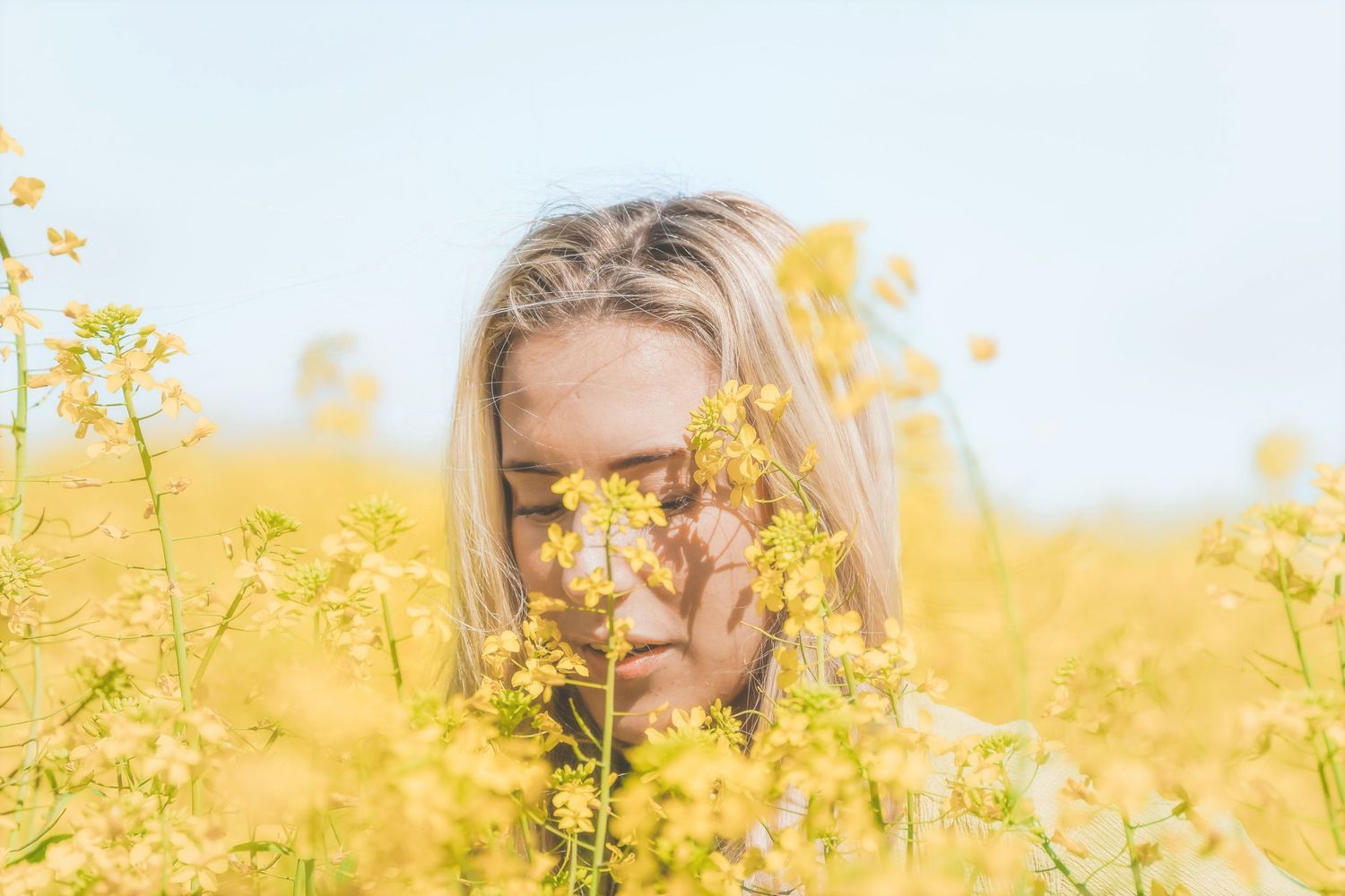 Woman's face half hidden behind yellow canola flowers