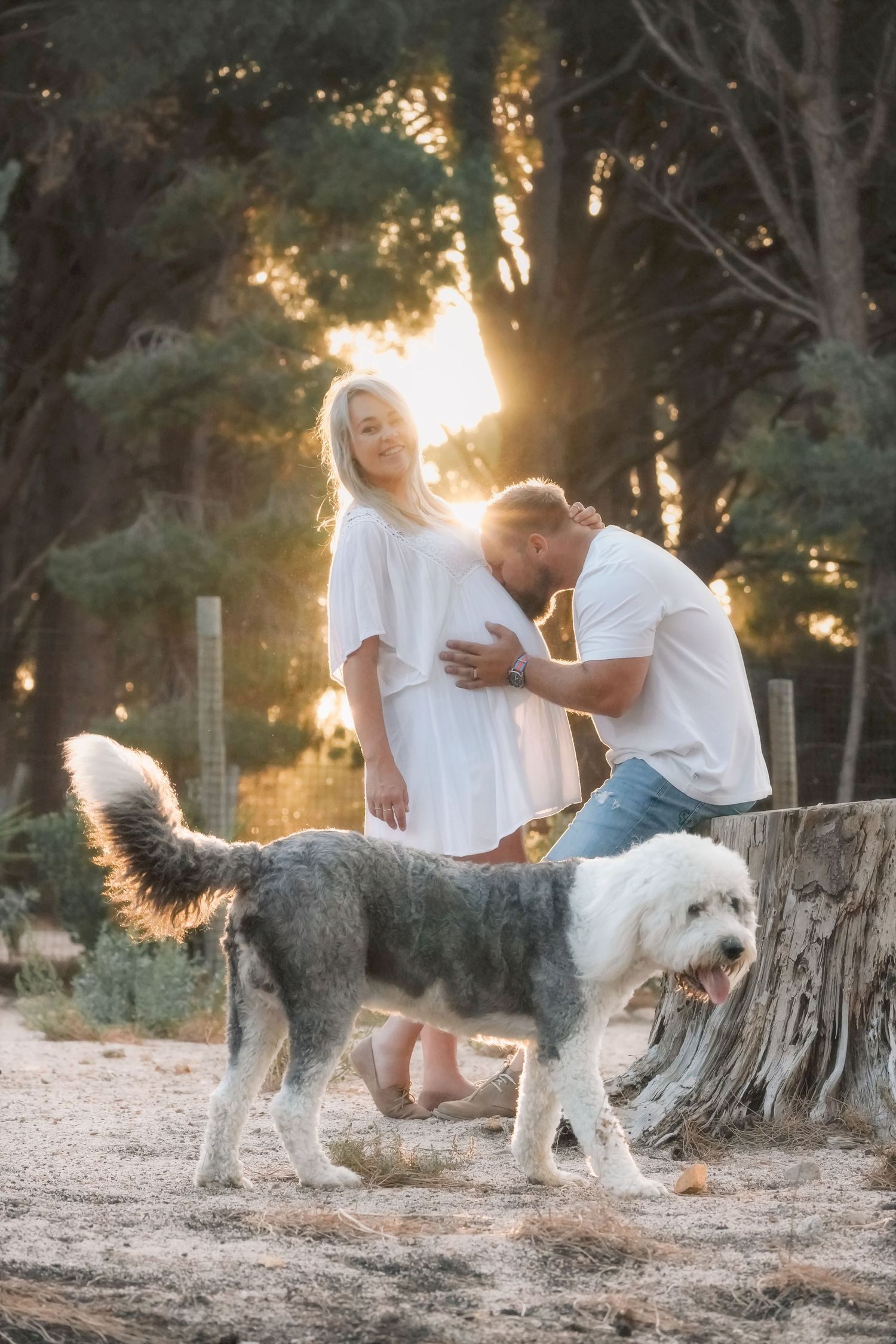 Expecting couple standing with their shaggy grey and white dog in backlit forest light, his head resting on her bump