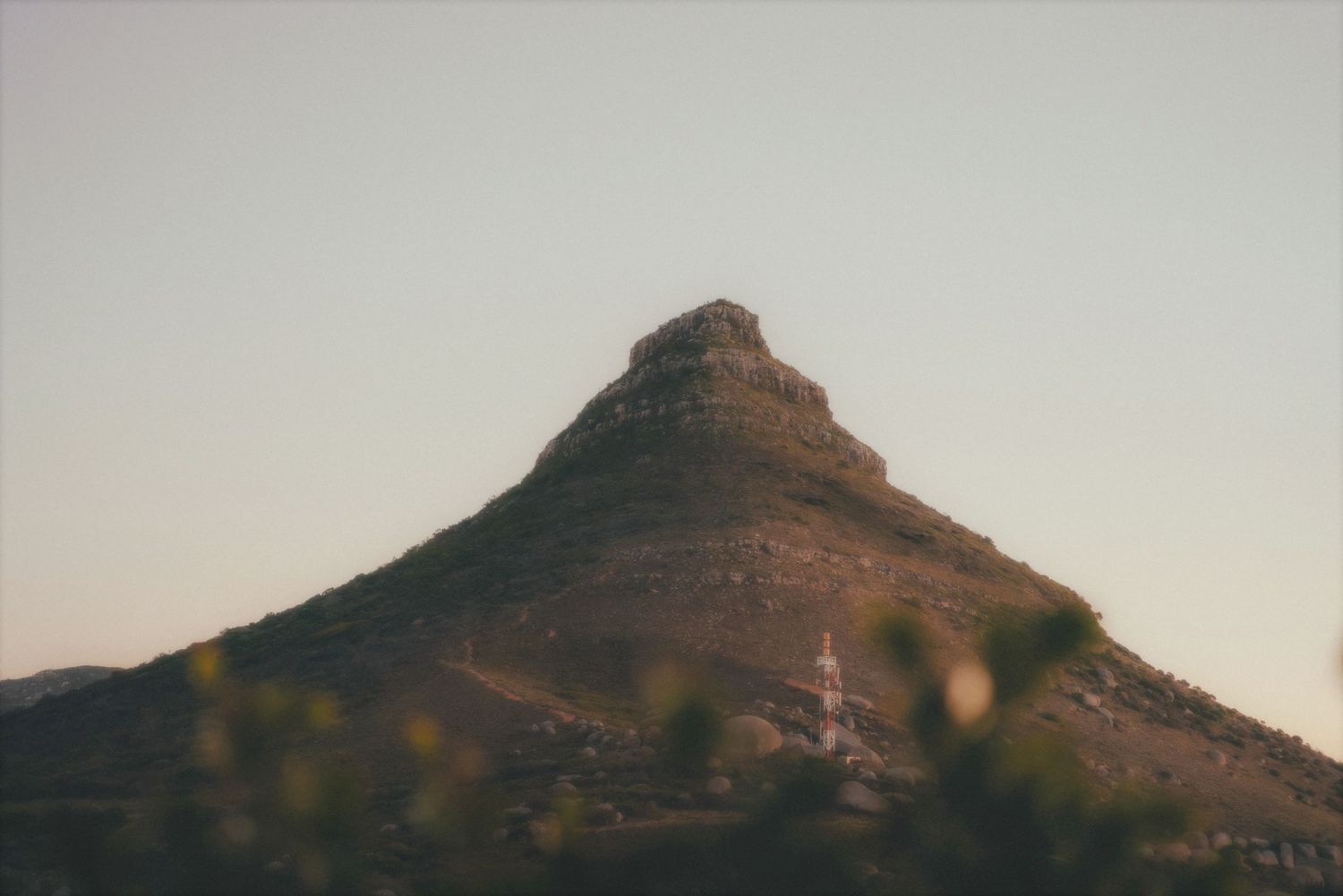 Mountain peak at dusk above coastal fynbos in Hout Bay