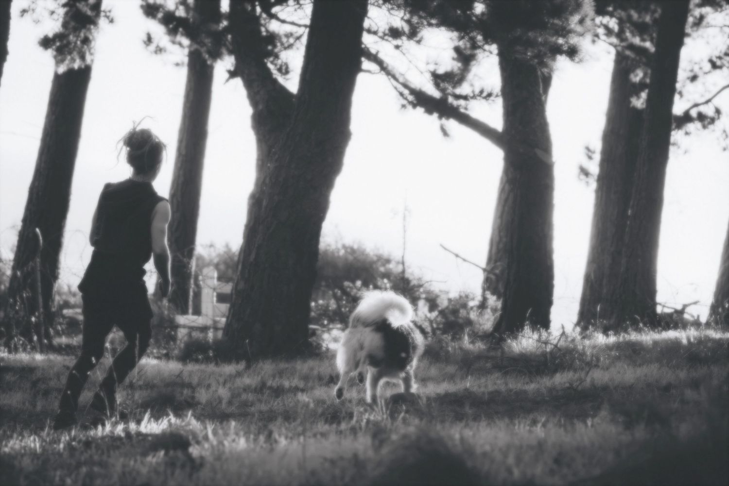 Black and white photo of a man running with his dog through the trees