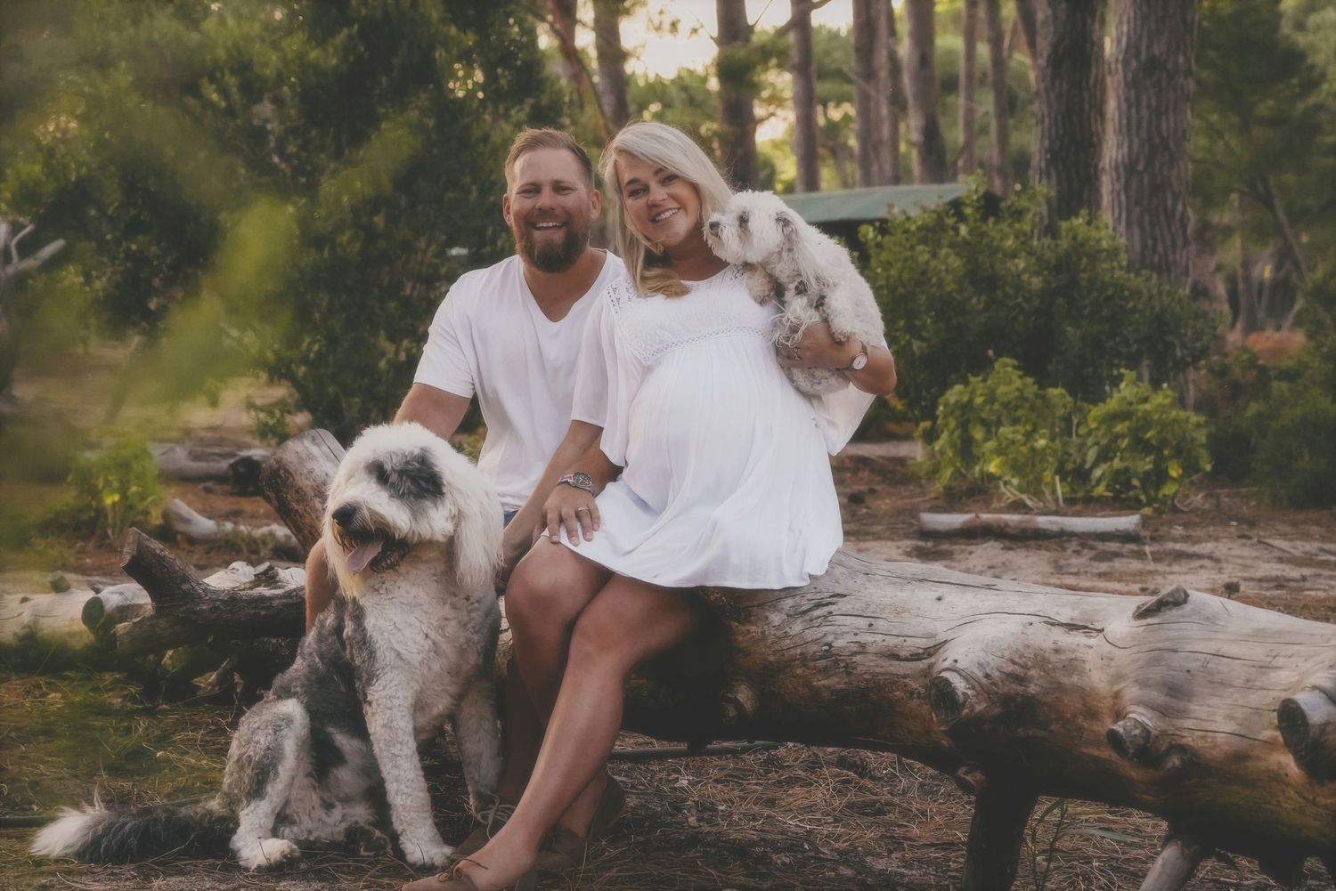 Expecting couple sitting on a fallen log with their two dogs in a Cape Town forest