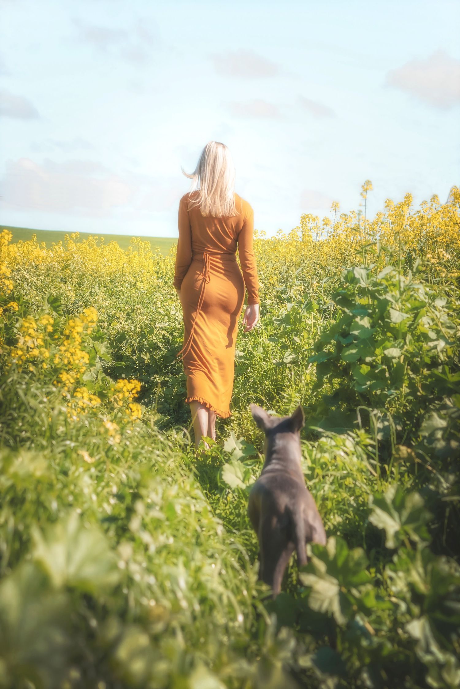 Woman walking through a canola field with her grey dog following behind in Cape Town