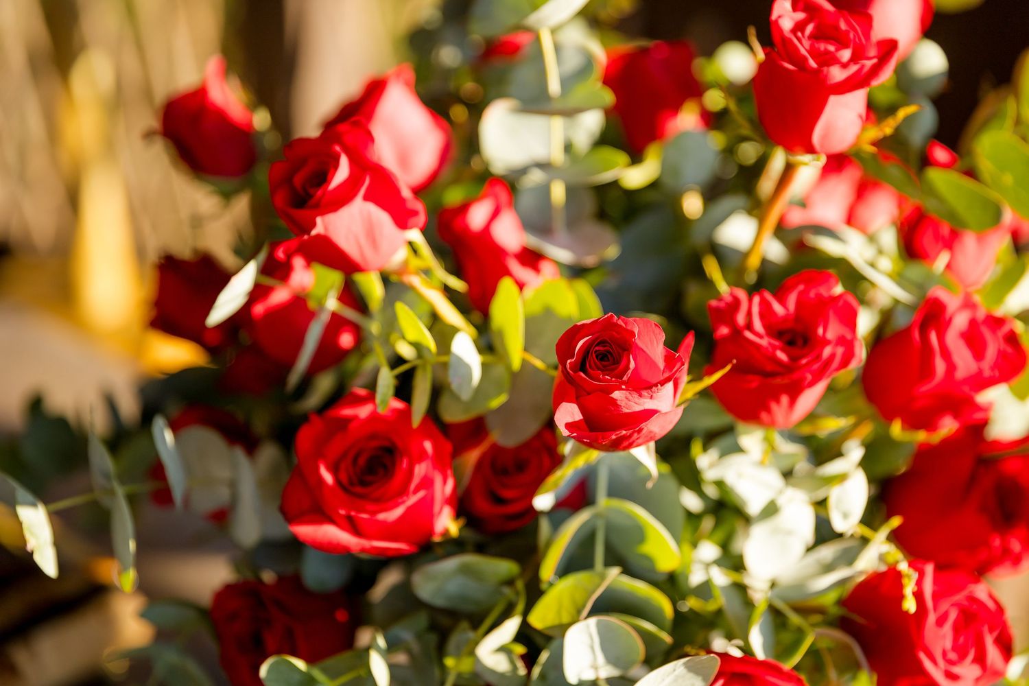 Red roses arranged for a romantic engagement celebration at Nekajui, a Ritz-Carlton Reserve in Costa Rica.