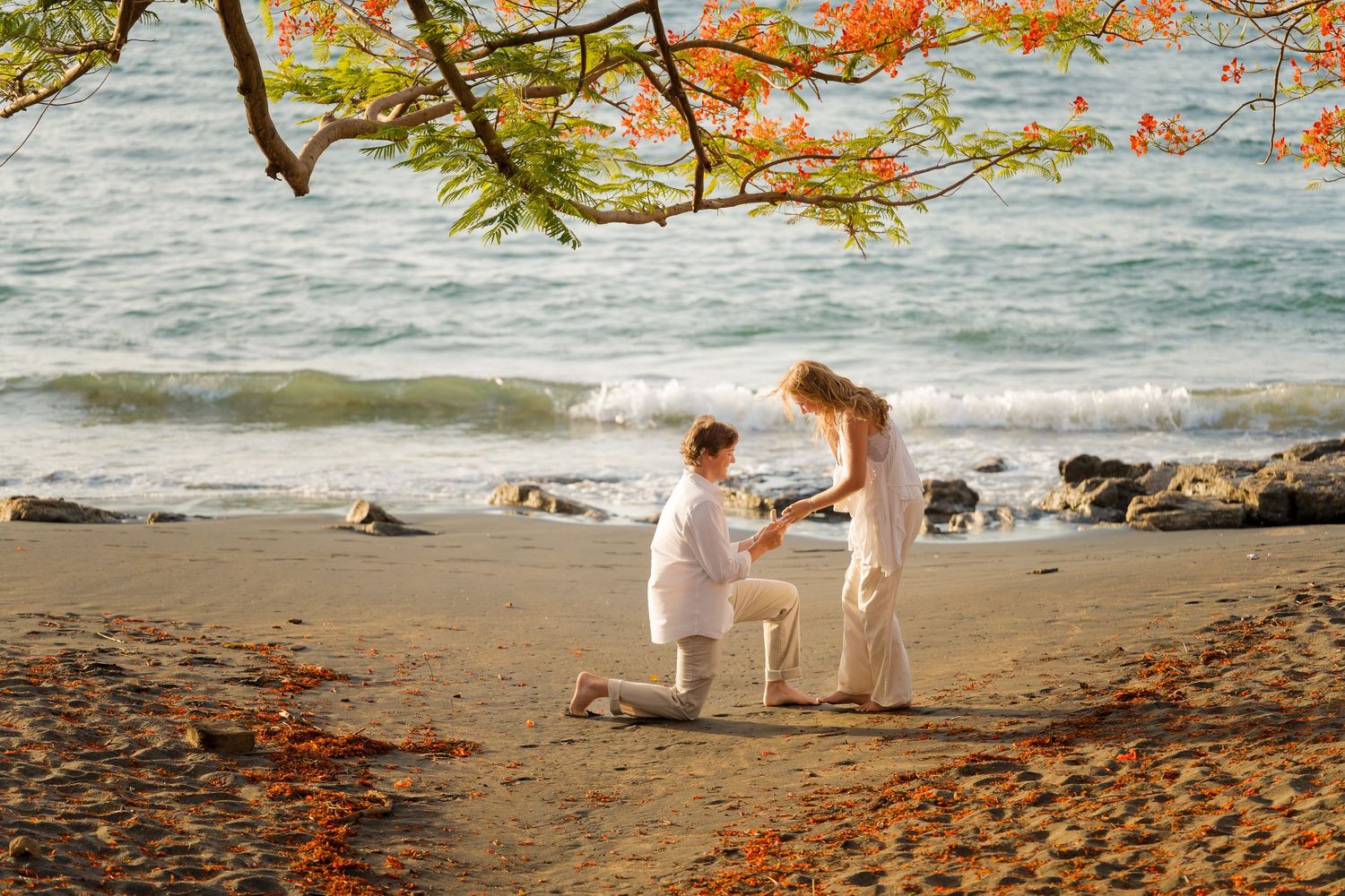 Couple sharing a playful moment beneath a flowering tree during their sunset engagement photography session at Playa Ocotal, Costa Rica.