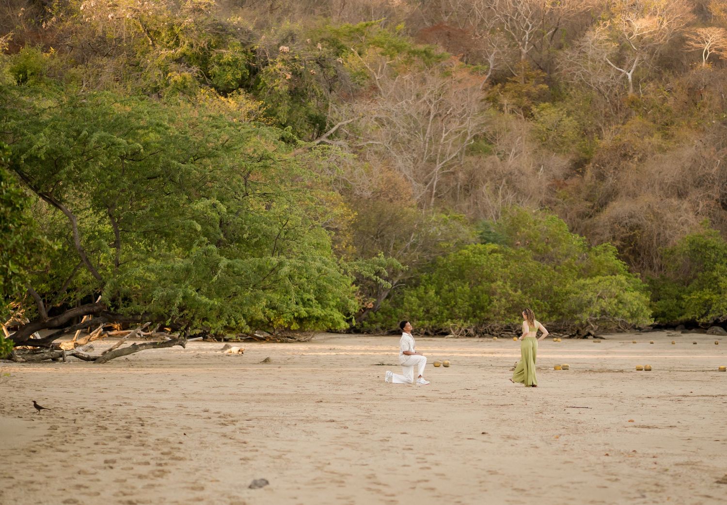 Couple during a private beach proposal surrounded by the natural scenery of Andaz Costa Rica in Peninsula Papagayo.