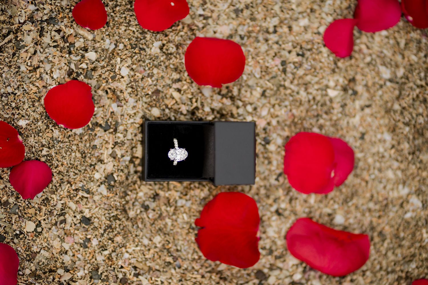 Engagement ring displayed among red rose petals for a romantic proposal at Andaz Costa Rica.