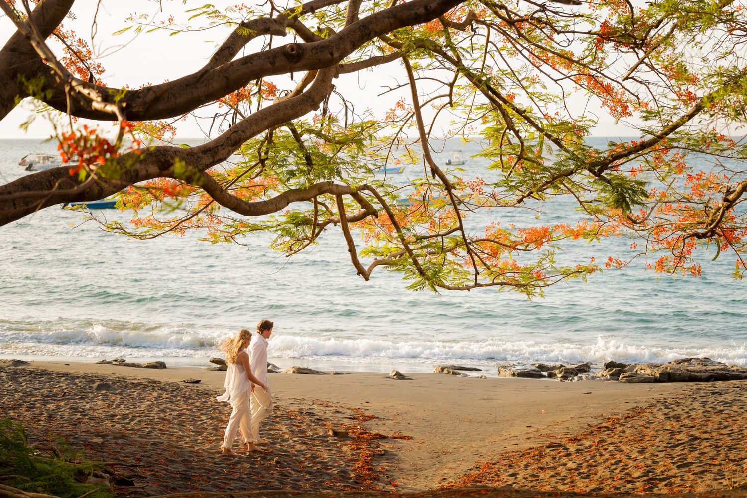 Newly engaged couple walking together beneath the trees at Playa Ocotal beach in Costa Rica.
