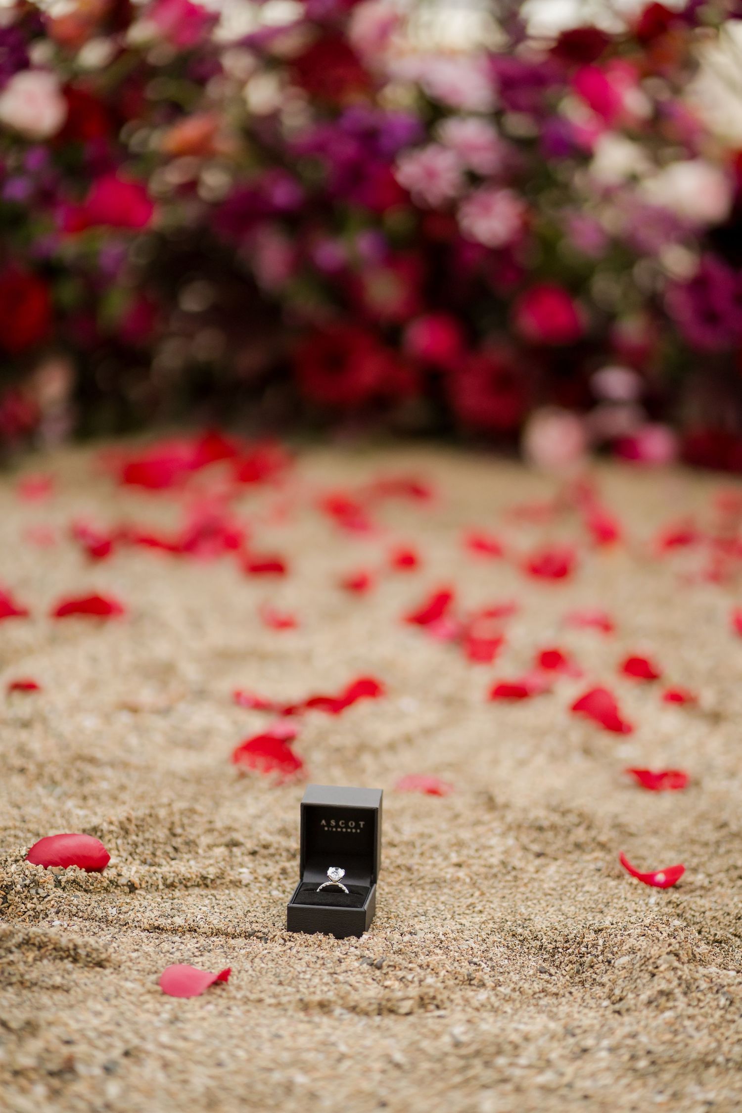 Engagement ring surrounded by rose petals as part of a romantic proposal at Andaz Peninsula Papagayo, Costa Rica.