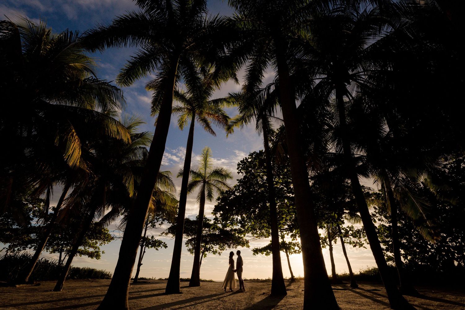 Couple walking beneath palm trees at sunset during a romantic engagement photography session in Tamarindo, Costa Rica.