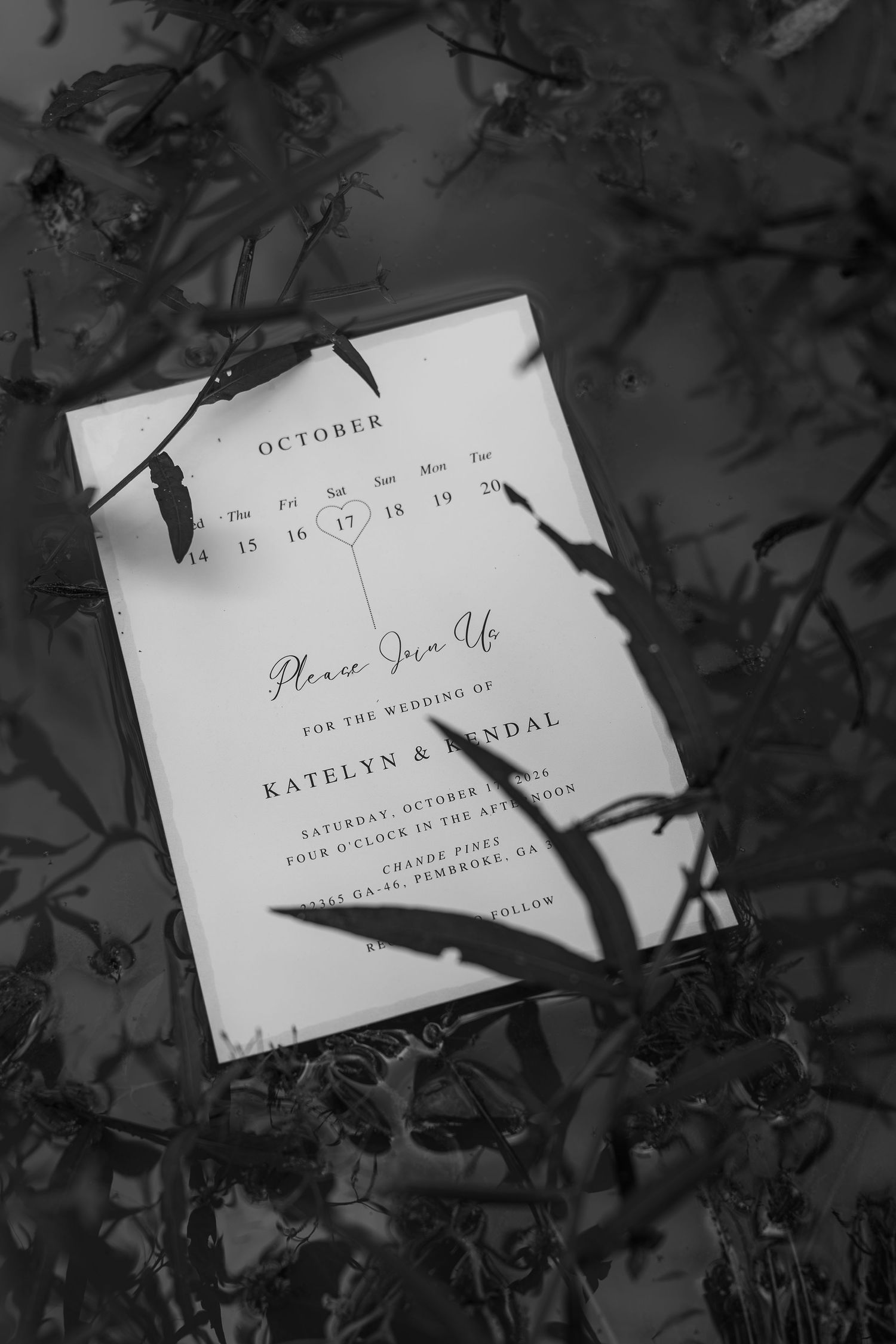 Black and white wedding invitation for Katelyn and Kendal with an October calendar, resting among dark leaves and wild foliage.