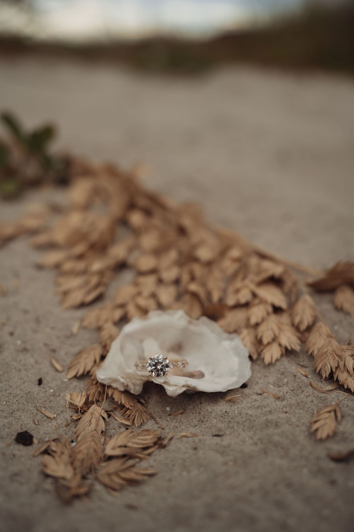 Diamond engagement ring resting in an oyster shell on sandy beach with dried golden leaves.
