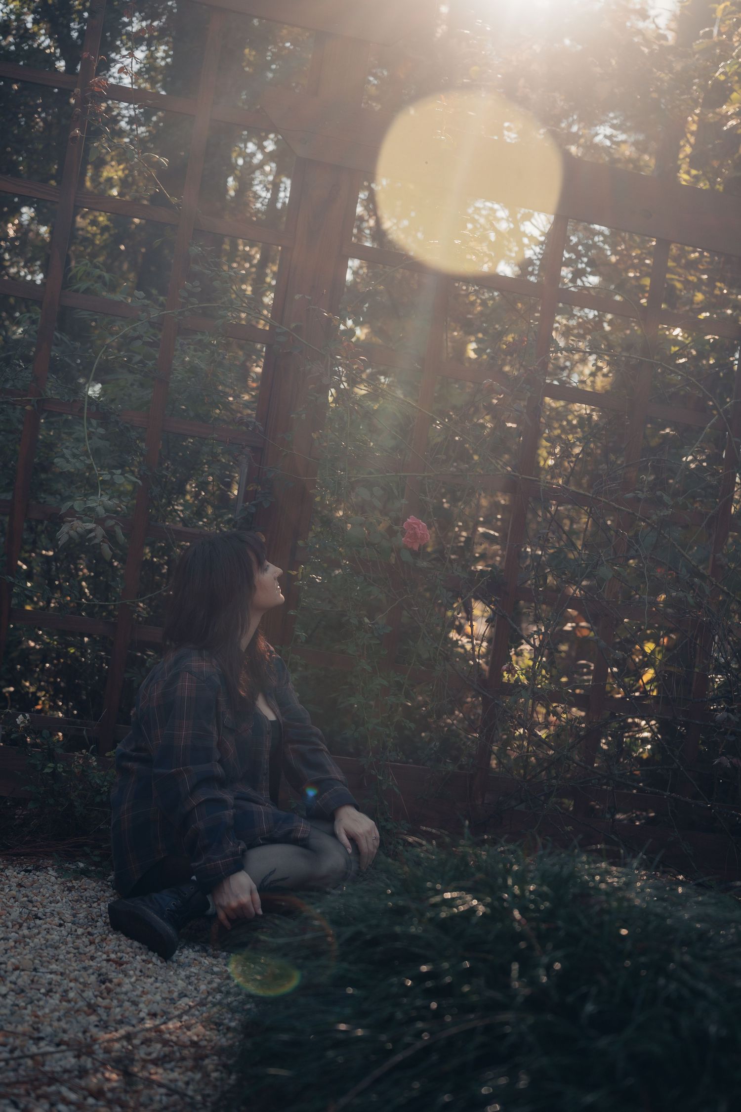 Person sitting on gravel in a sunlit forest garden, gazing upward with lens flare and lush green trees in background.