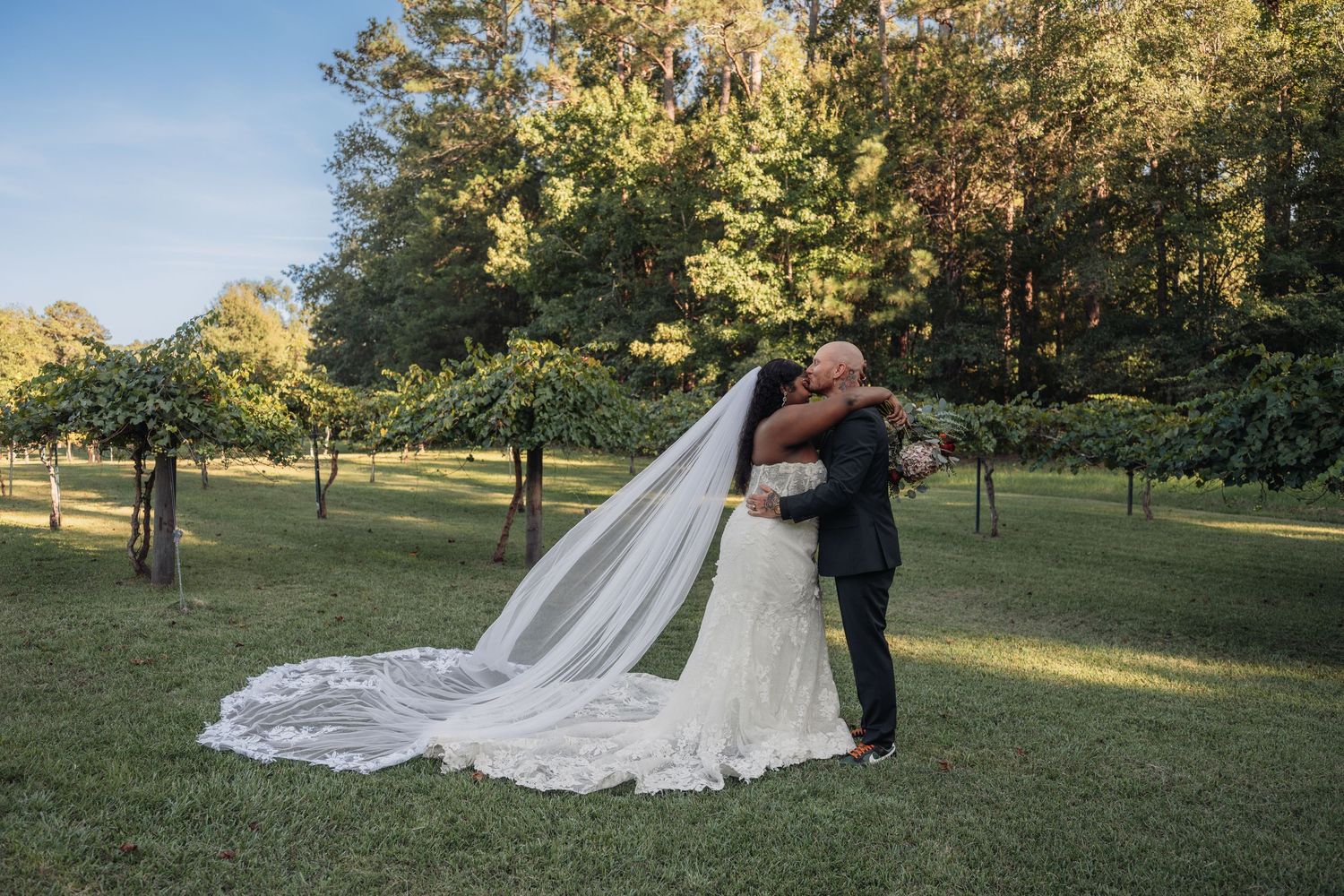 Bride and groom share a romantic kiss in a vineyard, her long veil trailing across the green lawn.