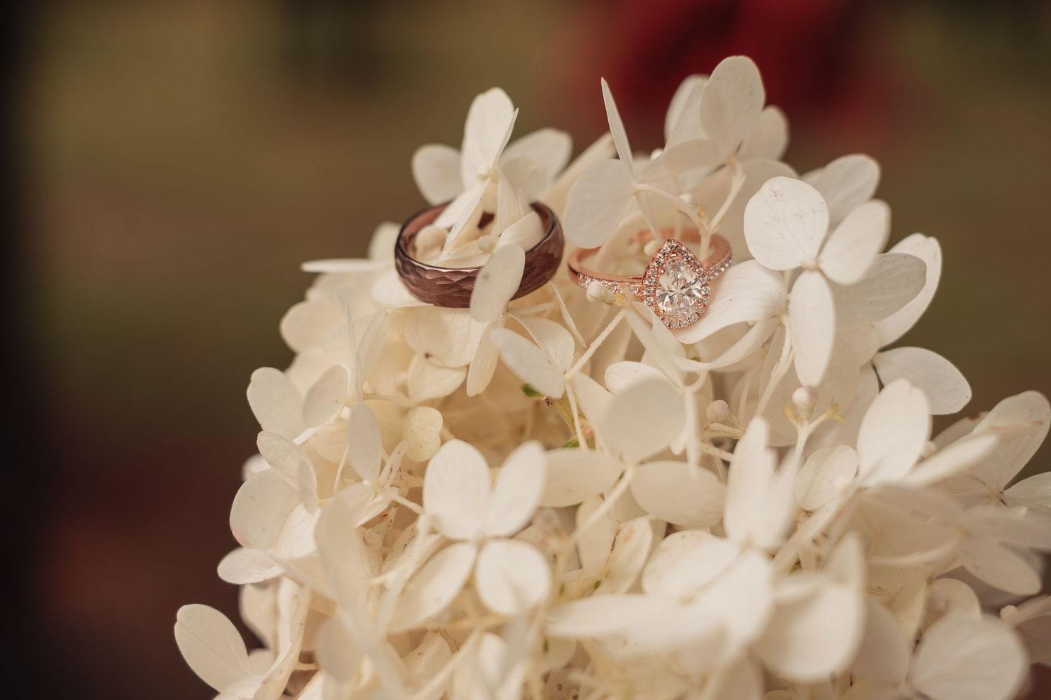 Two wedding rings, one with a sparkling diamond, rest on delicate white hydrangea petals against a soft blurred background.