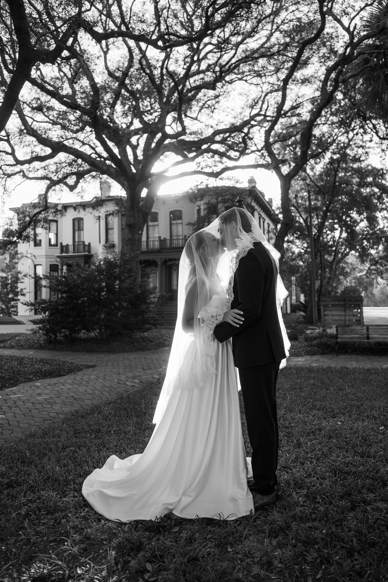 Black and white romantic portrait of bride and groom kissing under a grand oak tree at sunset.