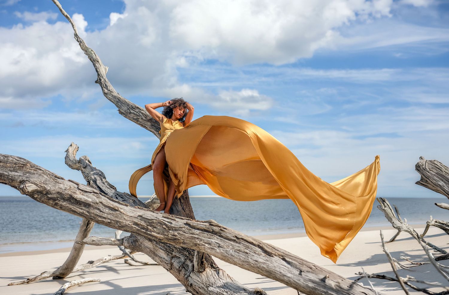 Woman in flowing gold colored flying dress draped over driftwood on the beach, Jacksonville, FL