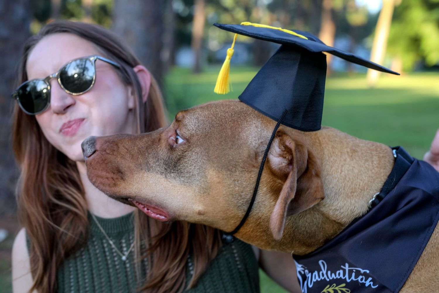 Dog wearing a graduation cap nuzzling a laughing woman, candid pet portrait