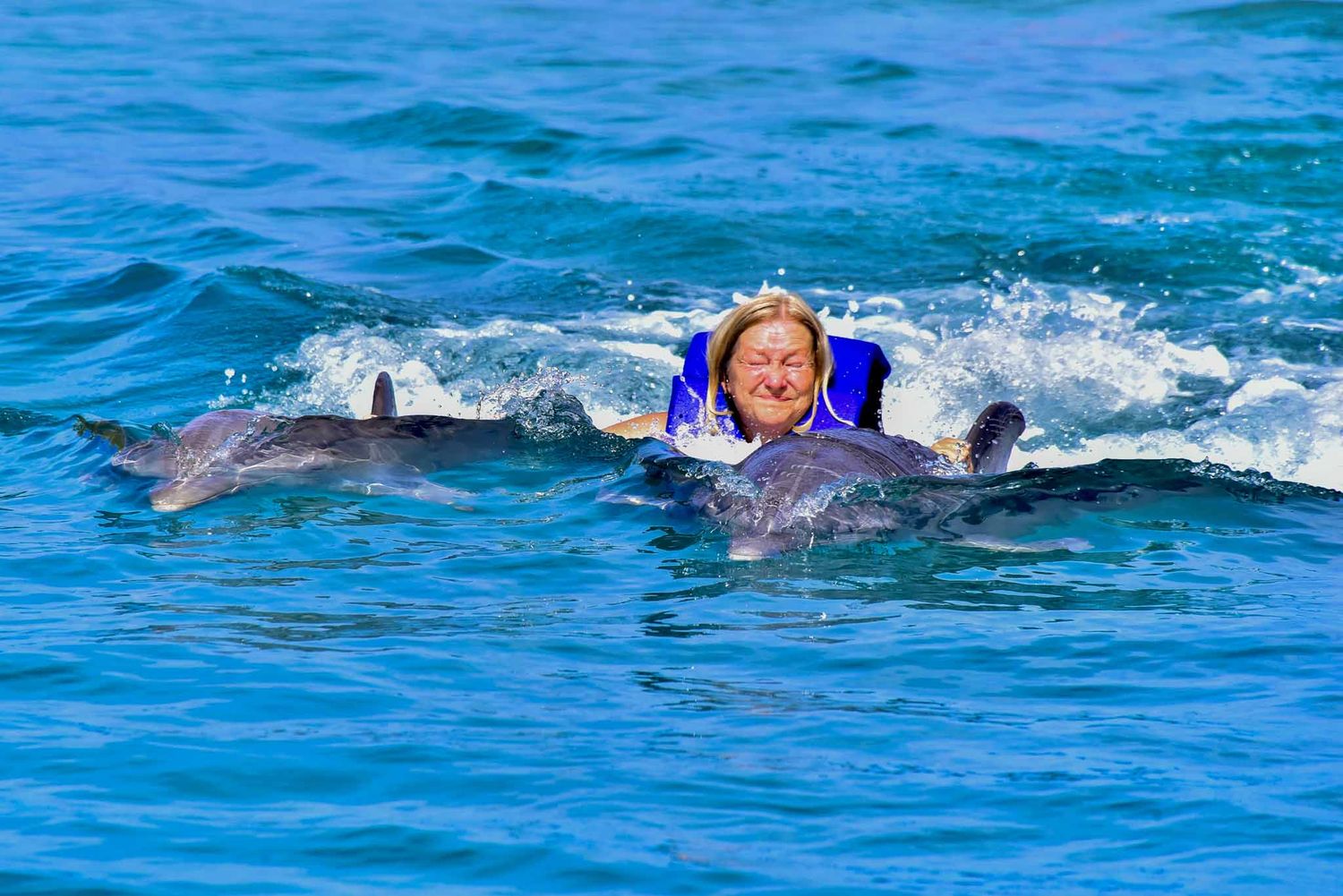 Dolphins and swimmers interact playfully in crystal blue ocean waters during a guided marine encounter.