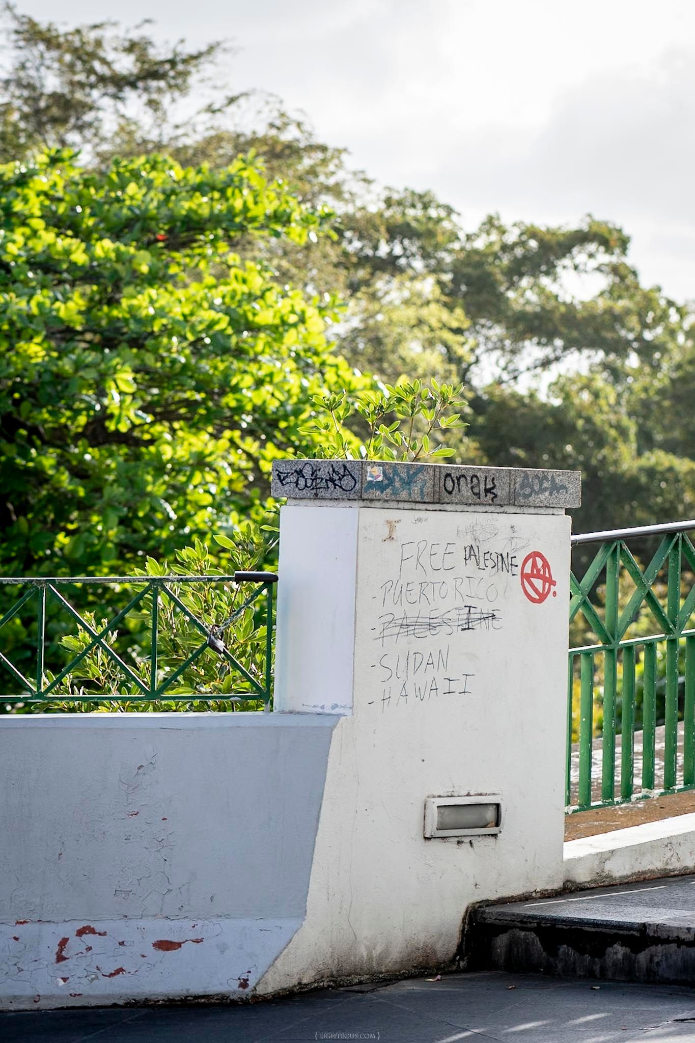 Graffiti-covered concrete wall with political messages near green metal railing and lush tropical trees in Hawaii.
