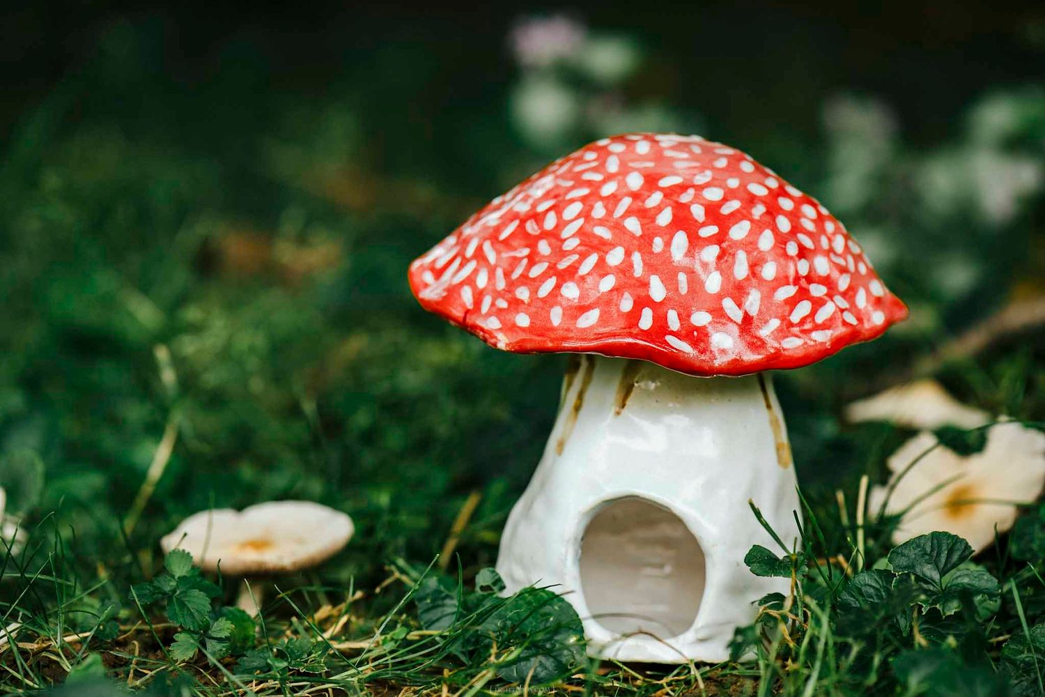 A decorative ceramic fairy house shaped like a red and white spotted Amanita mushroom sitting in lush green grass.