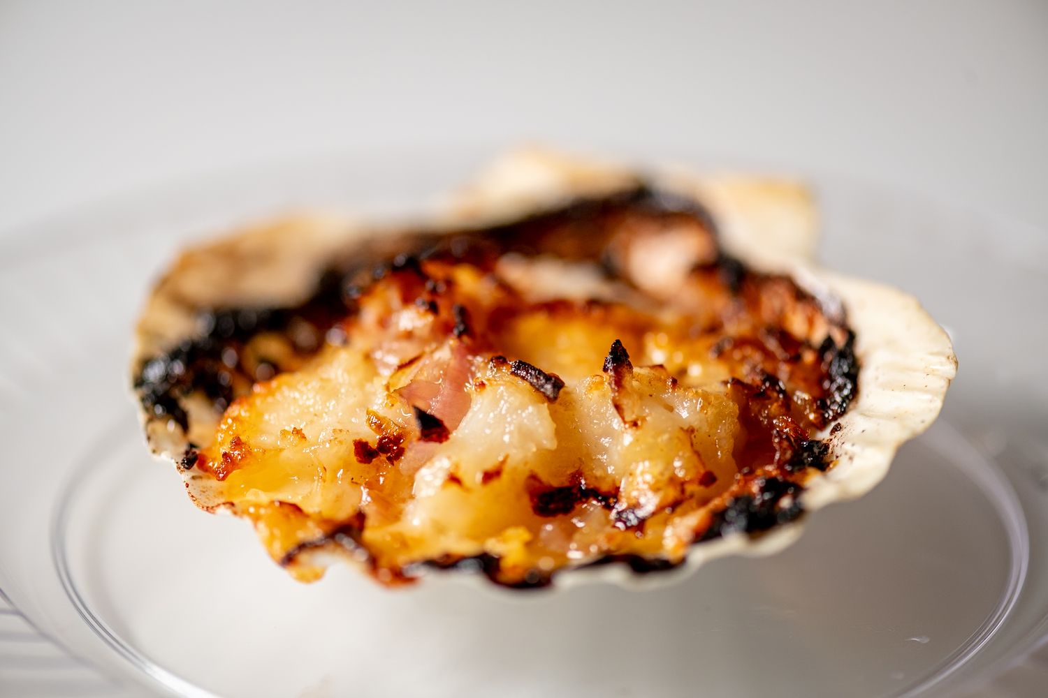 Grilled seafood appetizers arranged on white plates against a light background.