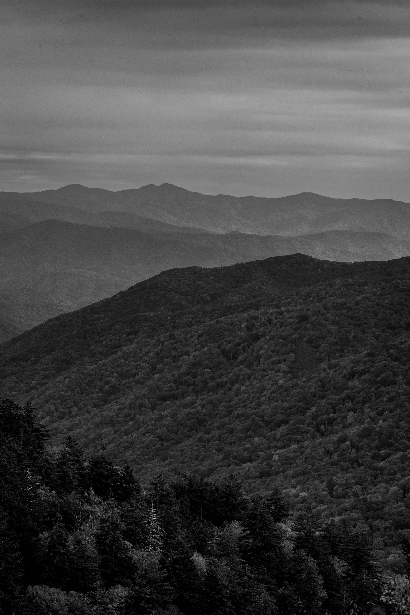 Black and white landscape photo of layered Appalachian mountain ridges covered in dense forest under a cloudy sky.