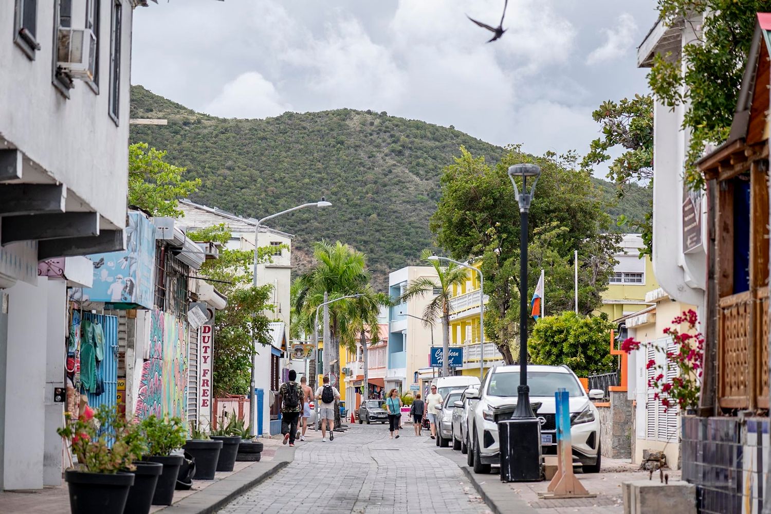 A colorful Caribbean street scene with shops, parked cars, and lush green mountains in the background.