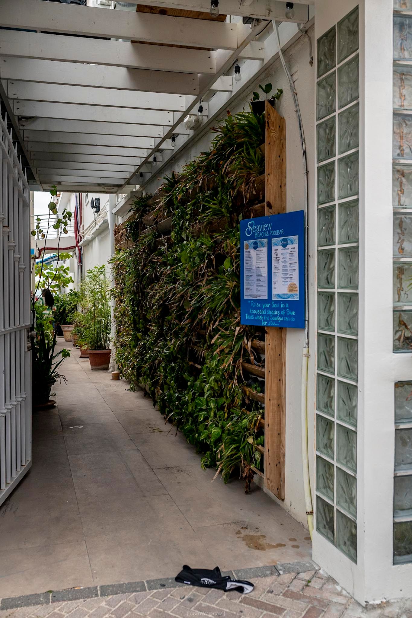 A covered walkway with lush green vertical garden and blue menu sign outside a restaurant.
