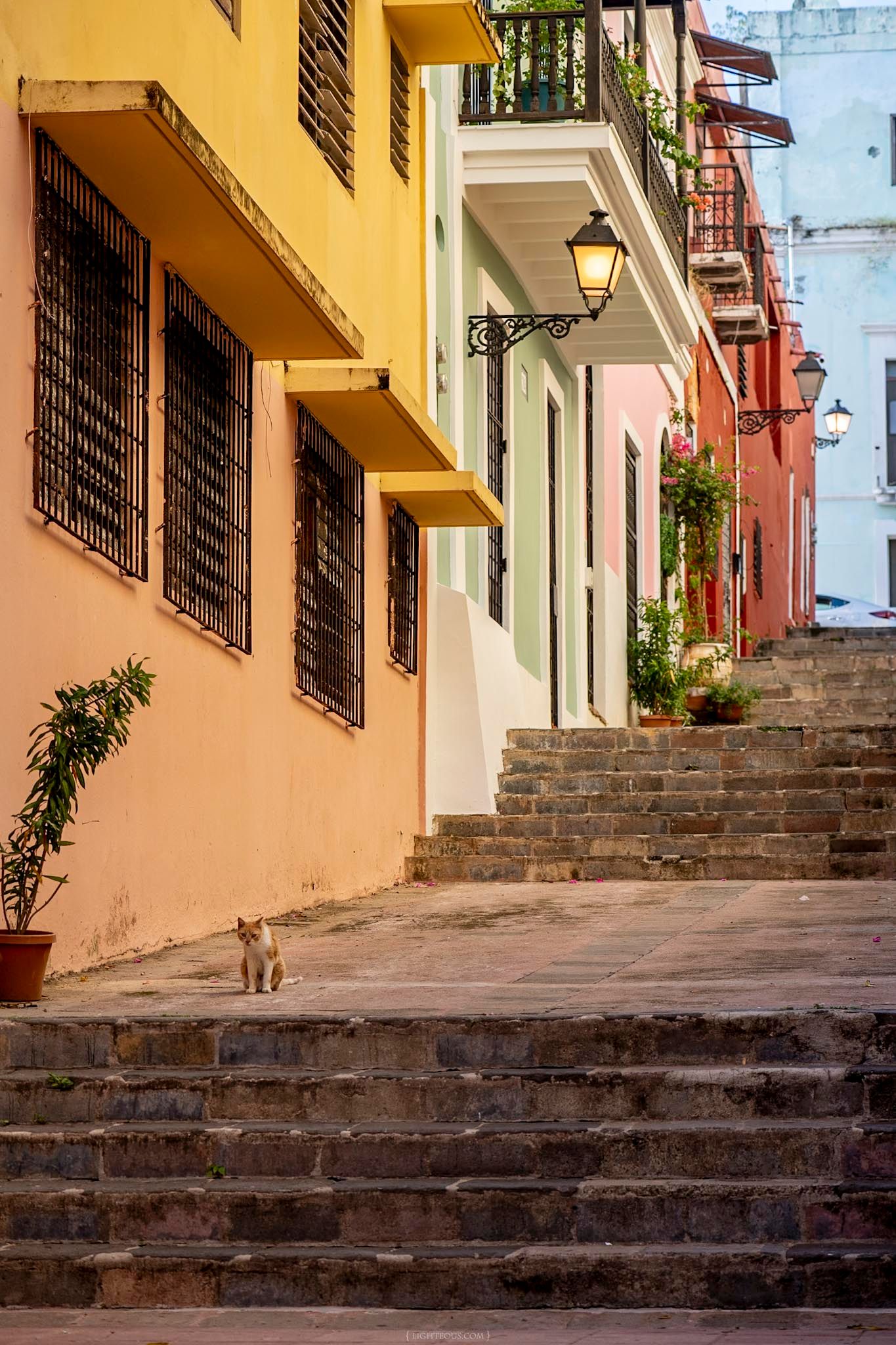 A stray cat sits on stone steps in a colorful colonial street with yellow and pink buildings and vintage lamp posts.