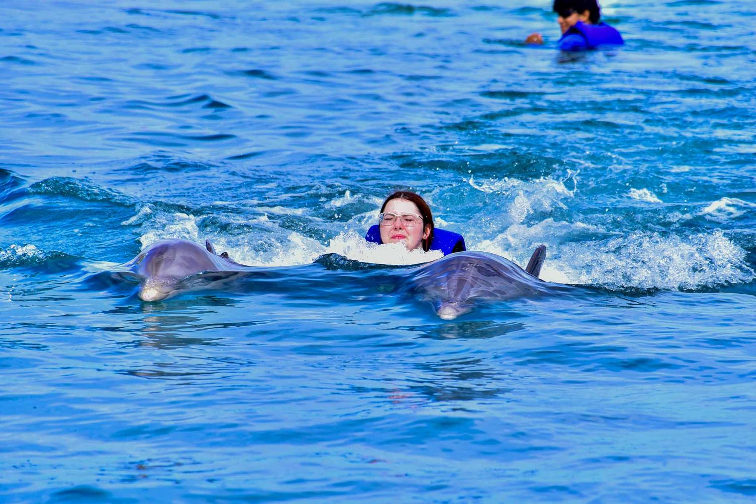 A person swimming with dolphins in bright blue ocean water as they leap and glide alongside.