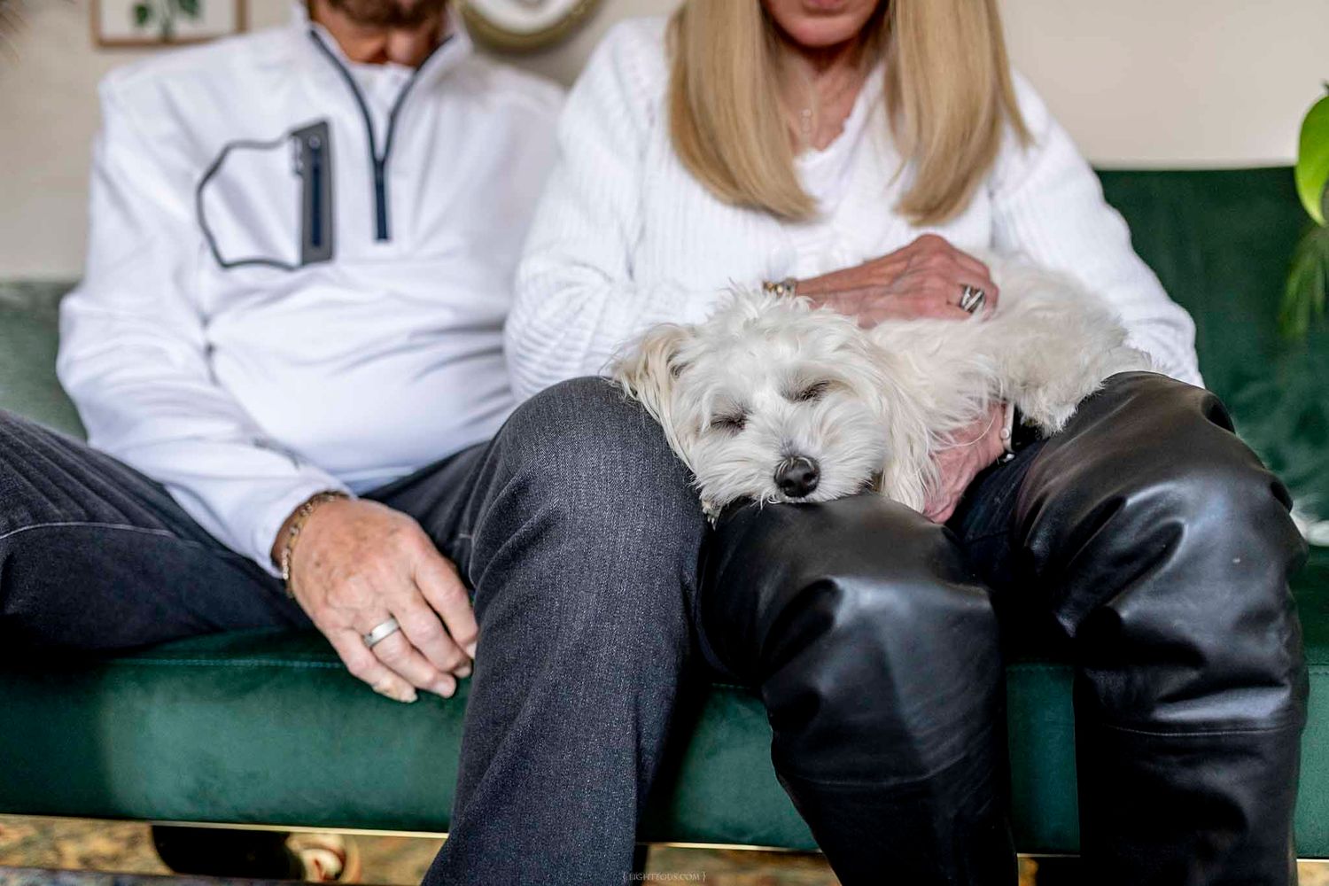 Couple sitting on green velvet sofa with small white fluffy dog resting on woman's lap in leather boots.