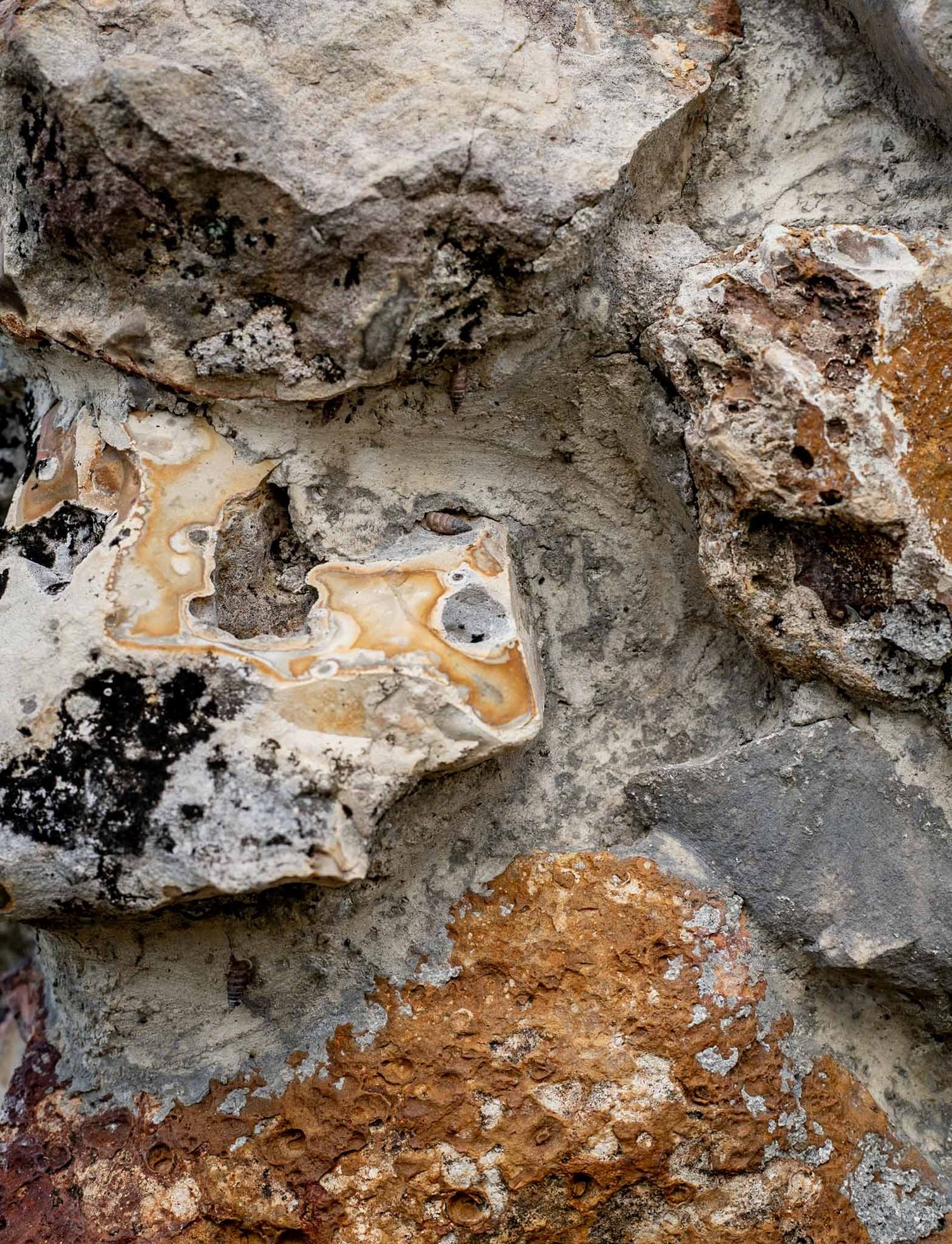 Close-up of weathered limestone rock formation showing layers of gray, brown and orange mineral deposits.