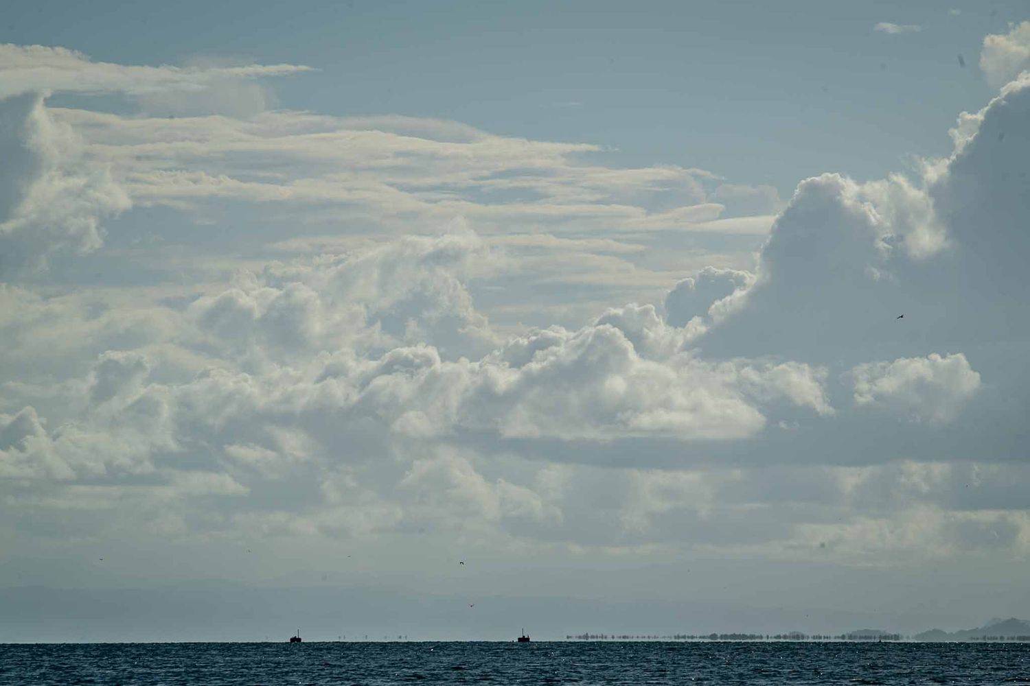 Serene seascape with puffy white clouds stretching across a pale blue sky.