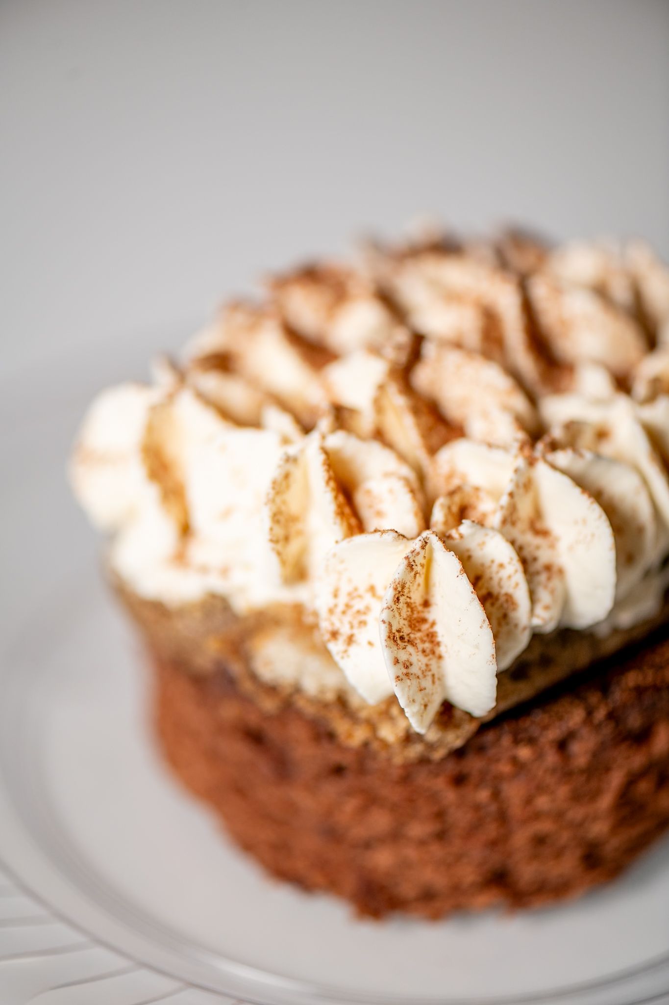 Chocolate cupcake topped with swirled white frosting and dusted with cocoa powder.