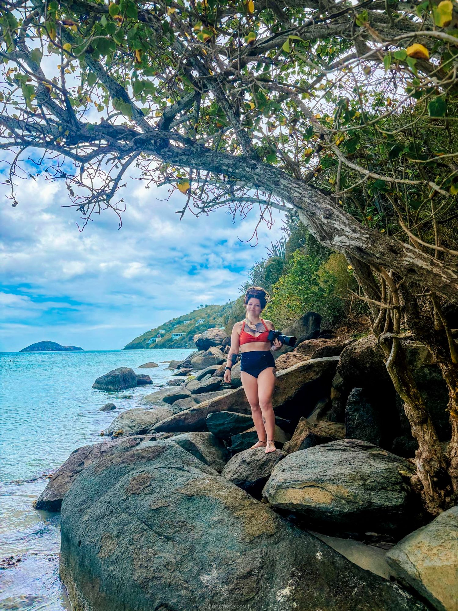 Woman in swimsuit standing on rocky shoreline under arching tropical tree with turquoise Caribbean sea views.