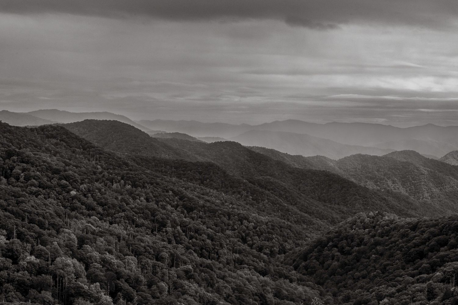 Black and white landscape of layered mountain ridges covered in dense forest under dramatic cloudy skies.