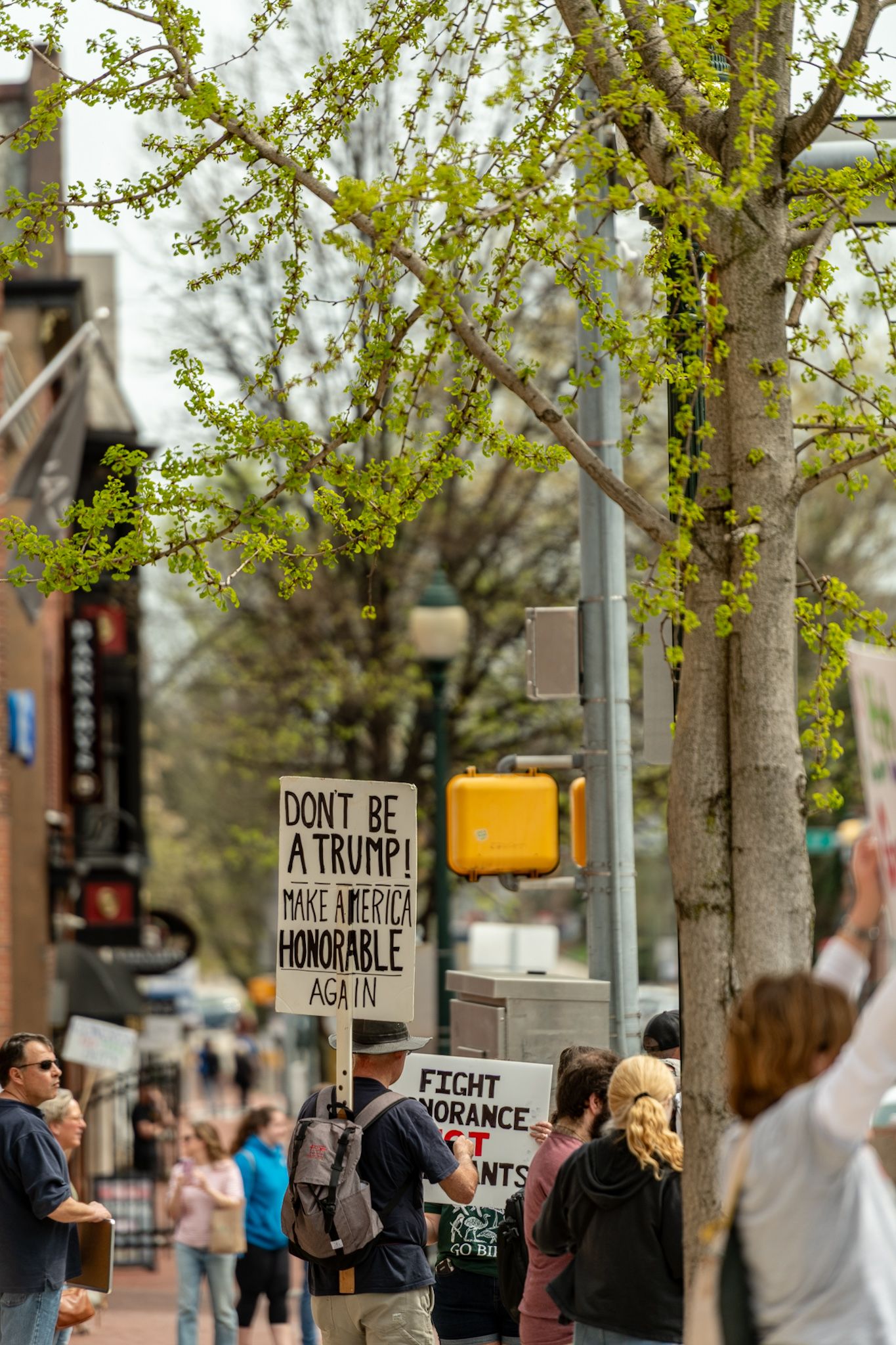 Protest signs visible among spring trees with traffic signals in an urban setting.