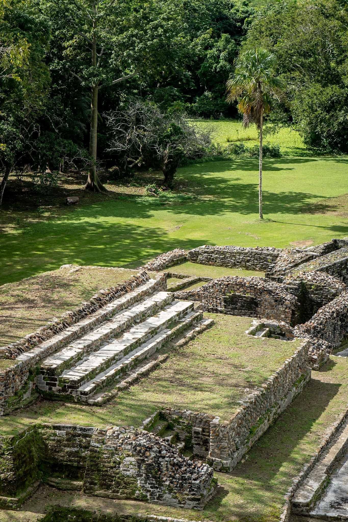 Ancient Mayan stone steps and terraces surrounded by lush green forest and grass.