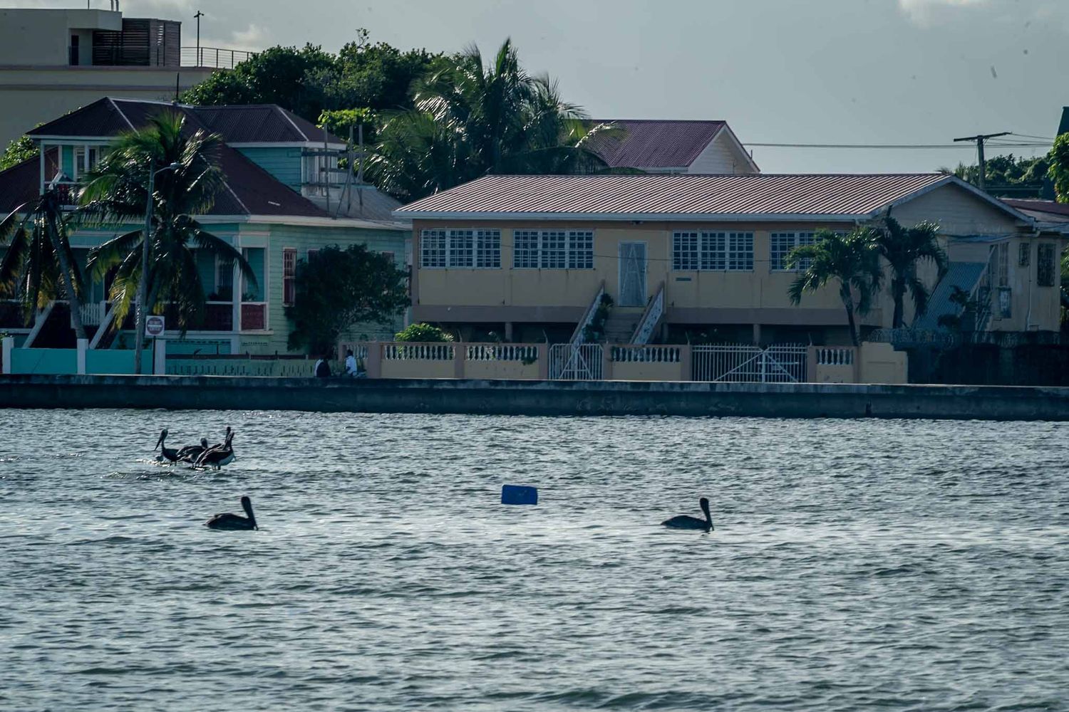 Panoramic view of waterfront houses and buildings along a calm lake or bay.