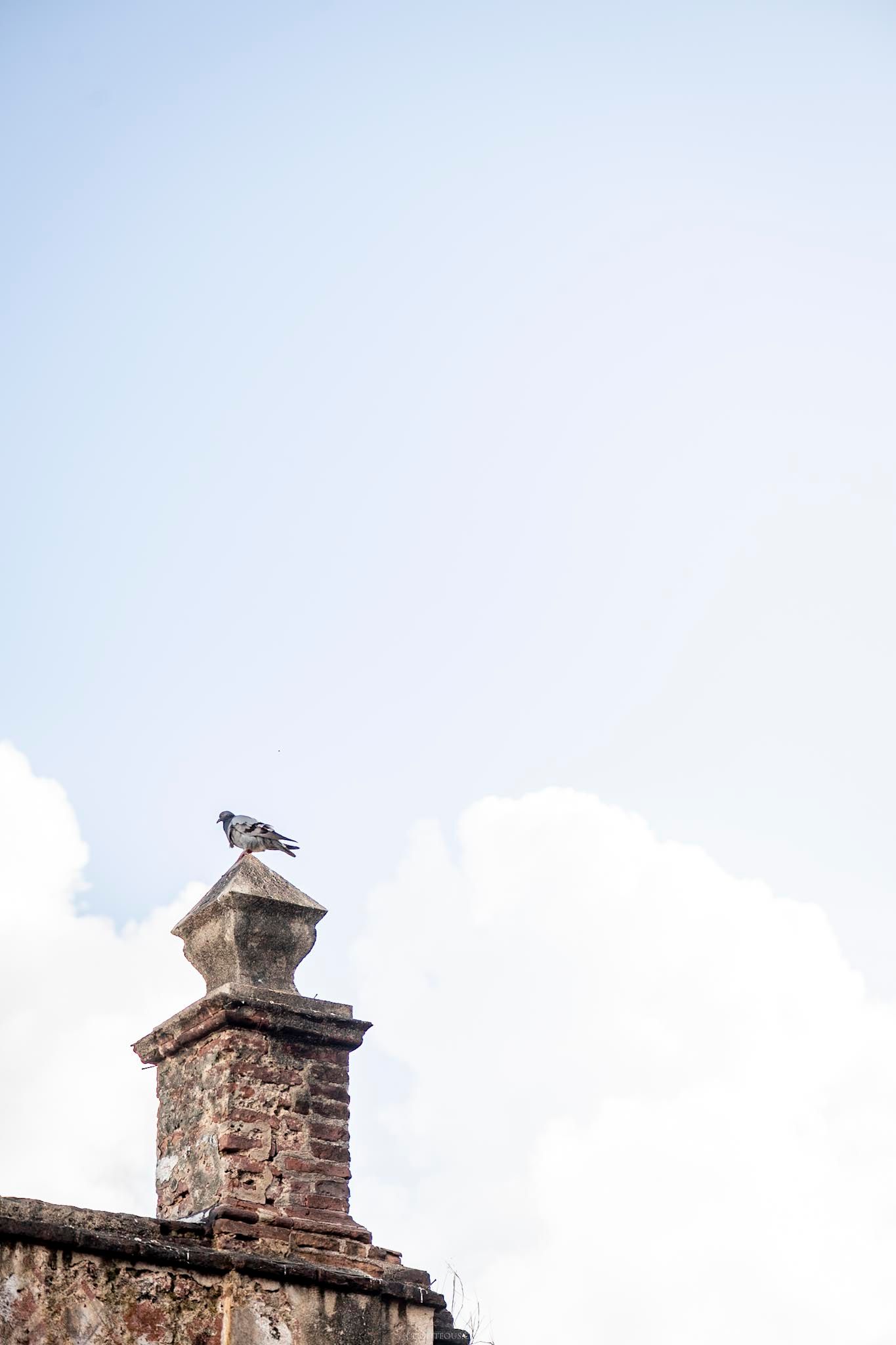 A lone pigeon perches atop an ancient stone pillar of a historic fort against a partly cloudy sky.