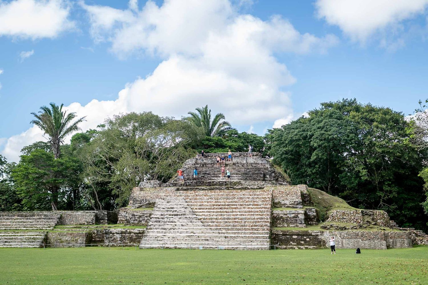 Ancient Mayan stone pyramid structure surrounded by palm trees and green vegetation under a blue cloudy sky.