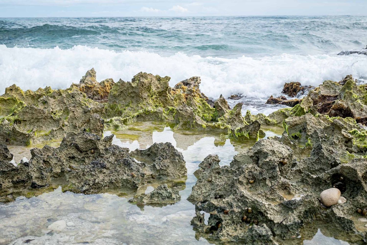 Rocky coastal tidepools with crashing waves and rugged coral formations along a tropical shoreline.